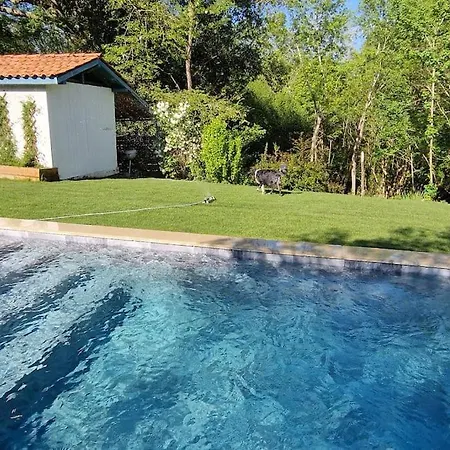 180m2, Piscine Chauffee, Spa Et Foret * Arcangues