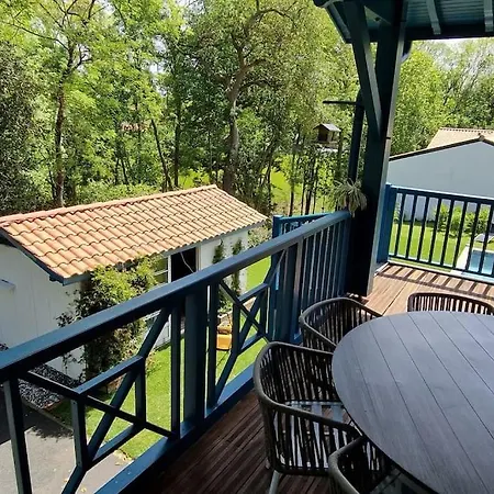 180m2, Piscine Chauffee, Spa Et Foret